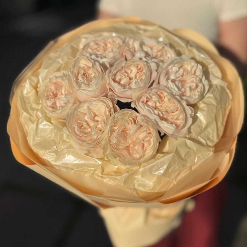 Пионовидные розы Шифон