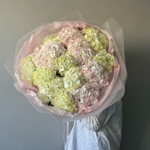 Гортензии, облако настроения 