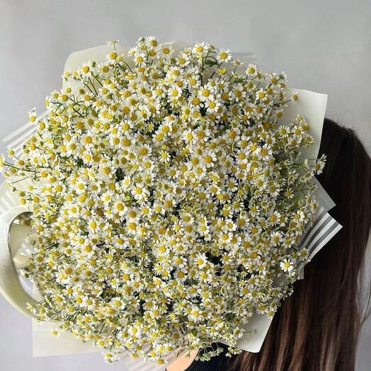 Букет из ромашек