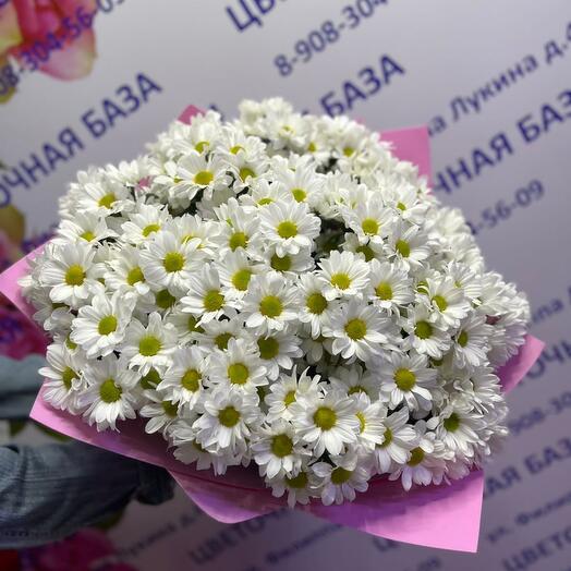 Ромашковое поле