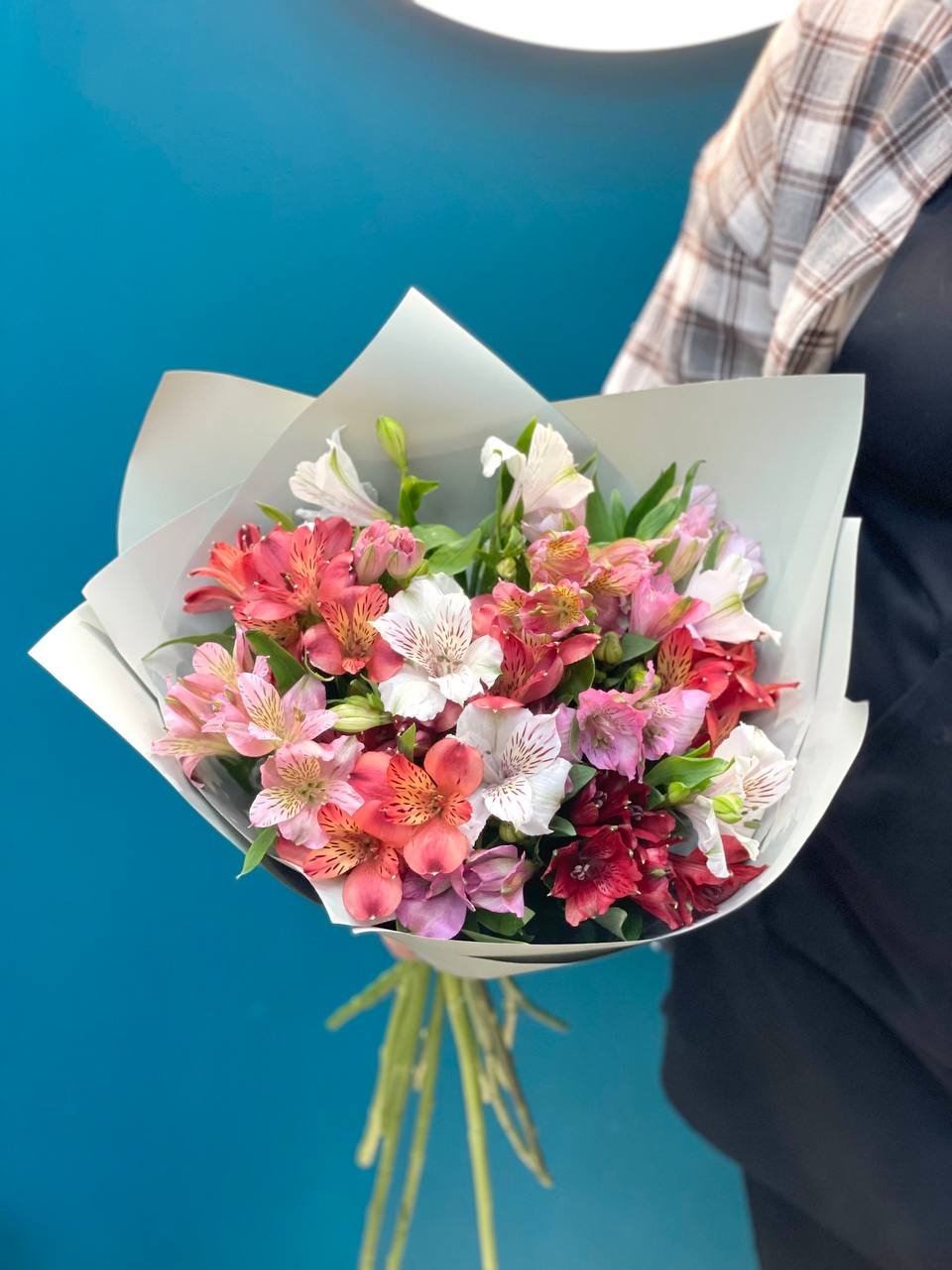 Разноцветные альстромерии, 15 шт.