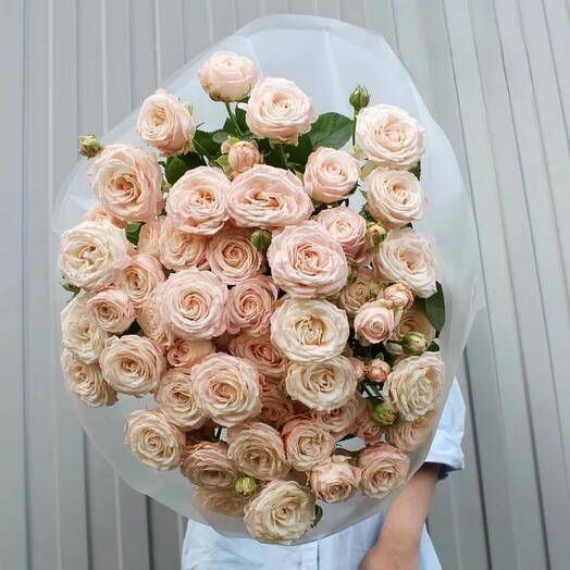 Пионовидная роза бежевая