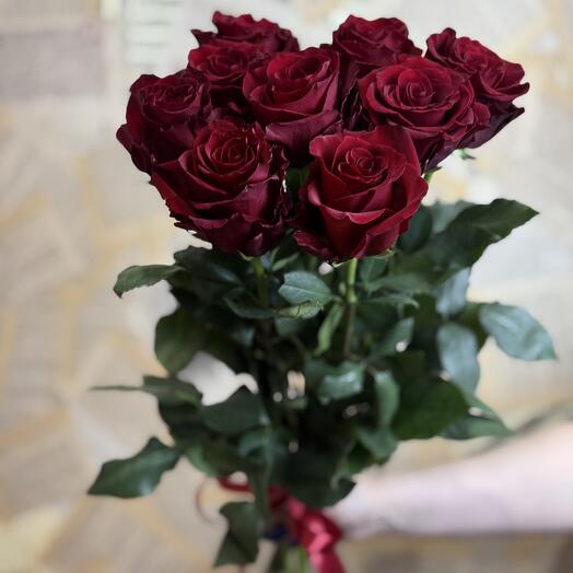 Роза эксплорер 60см