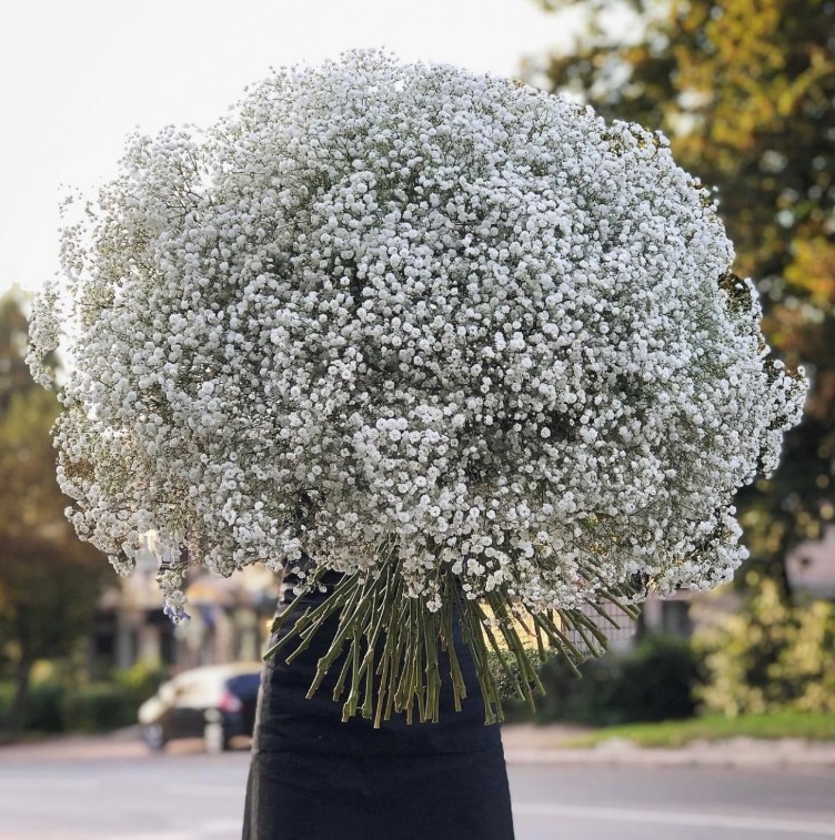 ВАУ-букет 51 гипсофила