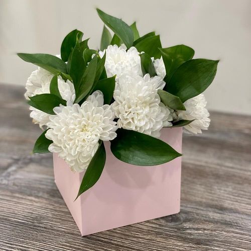 Букет из хризантем с зеленью в розовой коробке (к1844)