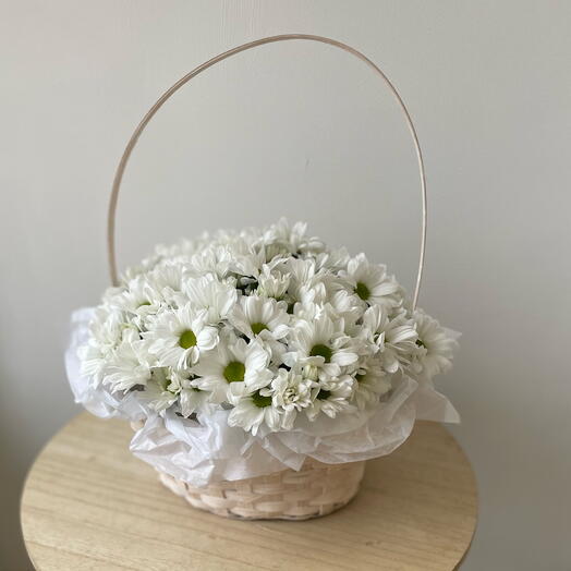 Корзина с хризантемой ромашковидной