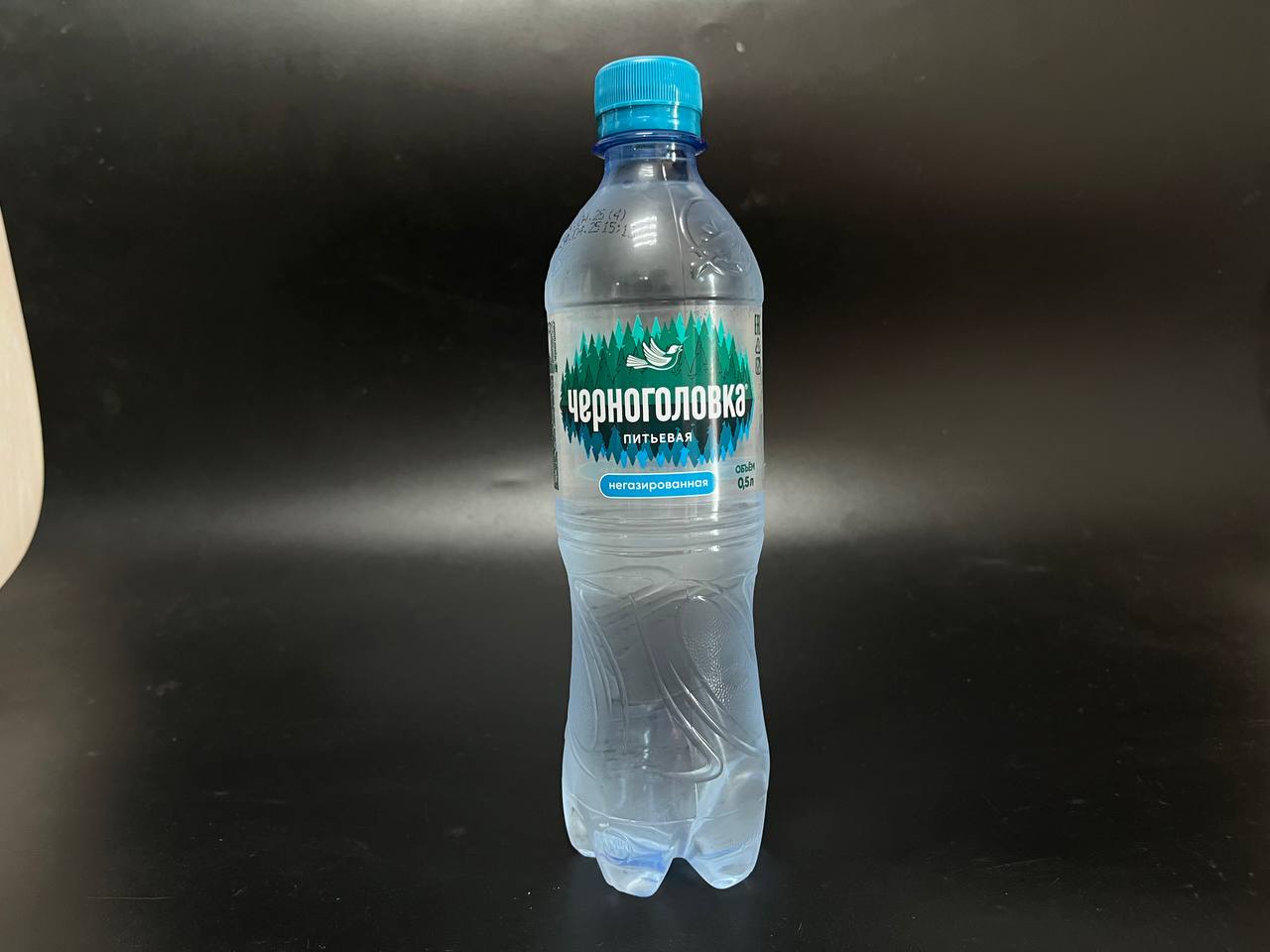 Черноголовка Негазированная вода