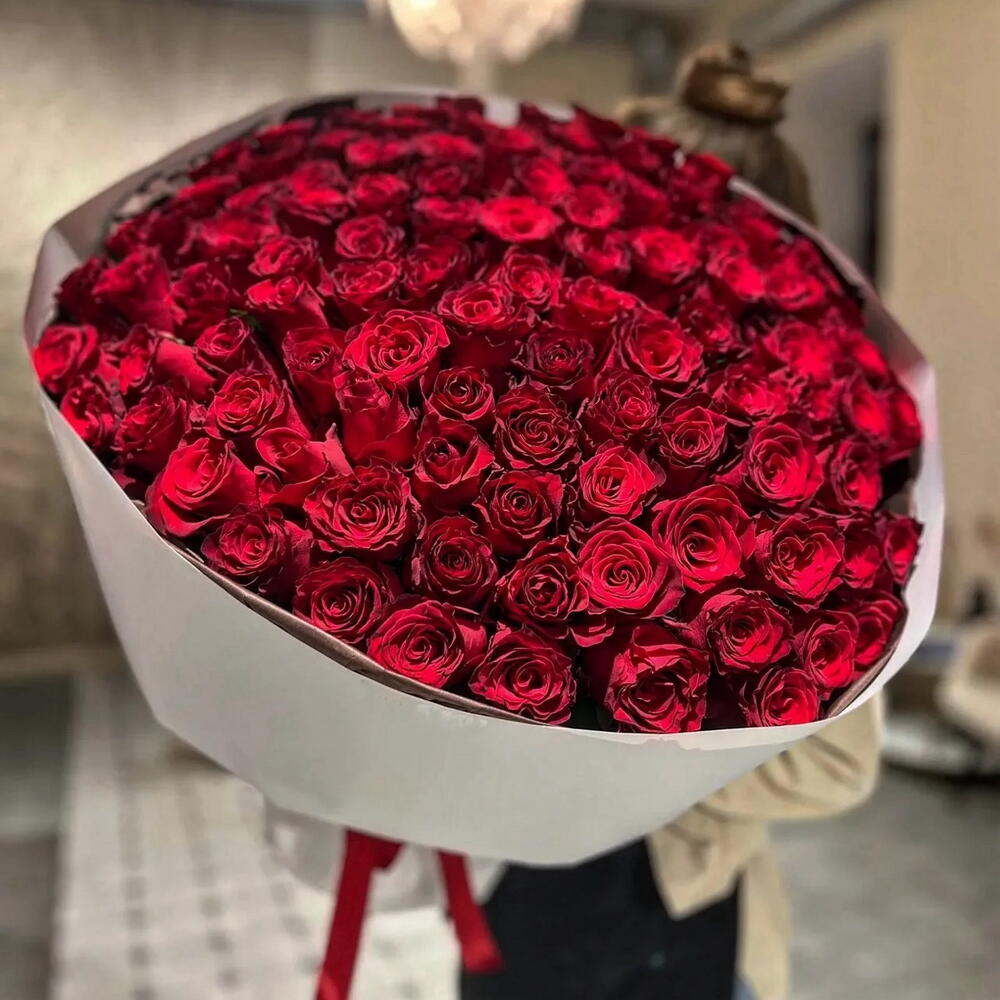 101 Роза красная алая пышный букет