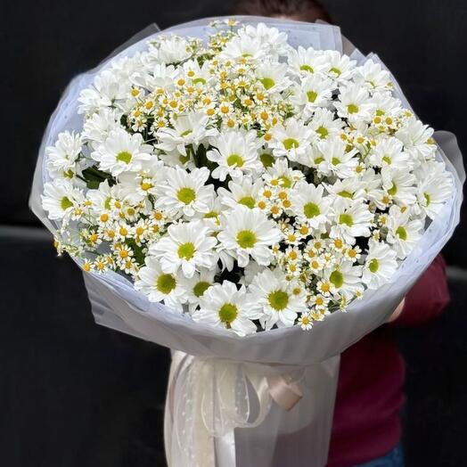  Ромашки для любимки ️