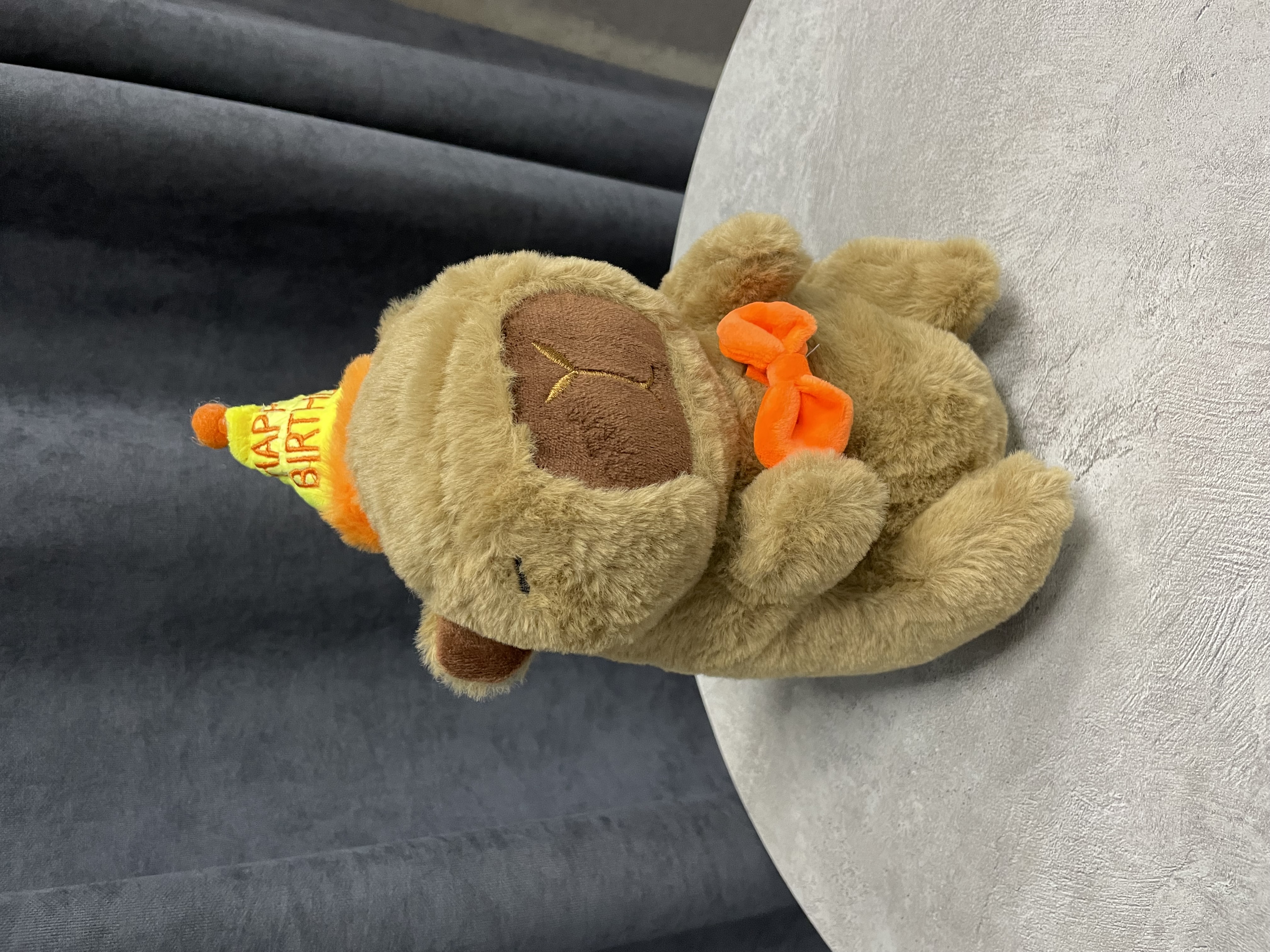 Капибара в колпачке