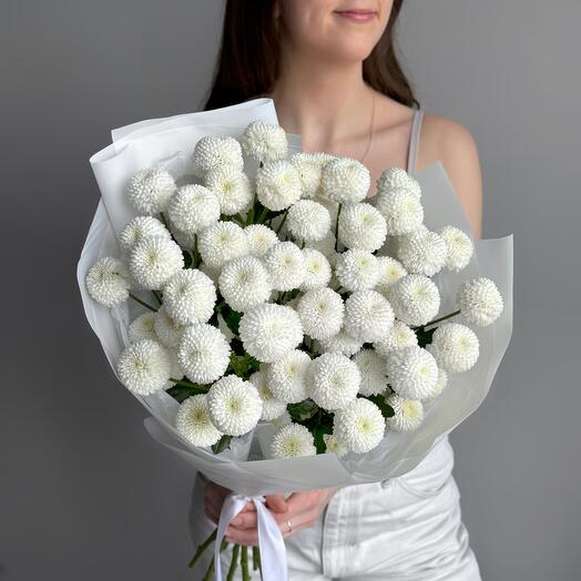 Нежный букет кустовая белая хризантема Ньютон